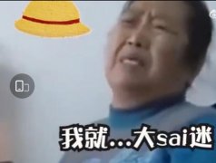 大sai迷是什么意思？大赛迷表情包，大sai迷采访原视频