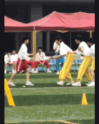 邓佳鑫刘耀文运动会事件，发生在2020年夏季运动会