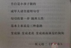 猫老虎被雨淋湿的狗是什么梗？在爱情中是这样解释的