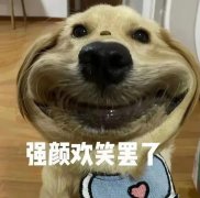 大冤种什么意思？大冤种和大怨种区别