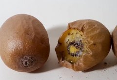 水果上的小飞虫怎么消灭？果蝇消灭干净小妙招