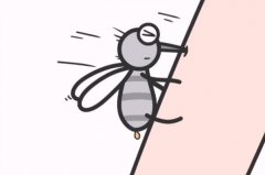 蚊媒病毒是什么意思？蚊媒传染病有哪些？