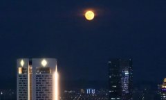 风也温柔的上一句是什么？风也温柔下一句怎么接？