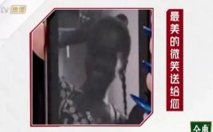 吉克隽逸以前白的照片，她为什么皮肤黑？