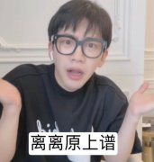 互联网脸替是什么意思？