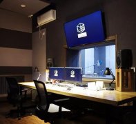 光合积木工作室成员名单，光合积木是国产工作室吗？