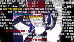 我徐才魁彻底疯狂什么梗？