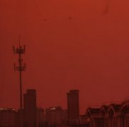 仿生人会吃电子羊吗什么梗？仿生人会梦见电子羊吗？