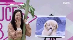 张圭悧为什么叫狗竹？因为像狗竹表情包