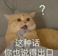 你小子权重可以是什么意思？废话文学+微博权重梗