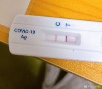 织布机画师loom微博多少？织布机为什么被喷