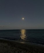 月亮正亮的起劲，若此刻不想你，倒显得我不解风情下一句，出处