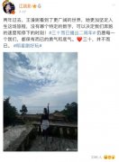 江疏影于东金巧巧事件，江疏影插足金巧巧婚姻？