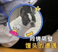 鹿晗邓超父子是怎么回事？父子关系的由来介绍