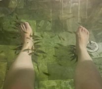 小鱼干是不是足疗店的鱼做的？足疗鱼最后去哪了？