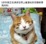 世另你、世另我是什么意思？表情包