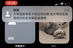 木琴趋势什么梗？木琴是骂人的意思吗？