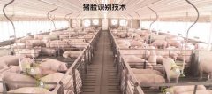 猪脸识别技术的意义，为什么要猪脸识别？