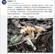 能好怎是什么意思？