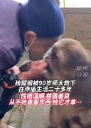 宁海羊祜殿的由来，宁海羊祜殿求什么的？