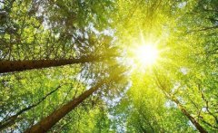 阴德纹是什么？阴德纹长什么样图片