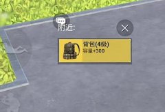 做你的四级包什么意思？你真是个四级包