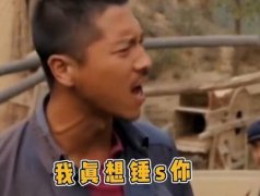 西北锤王是什么梗？出自电视剧《平凡的世界》孙少安的口癖