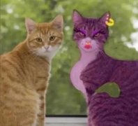 服美役啥意思？最早出自豆瓣象组