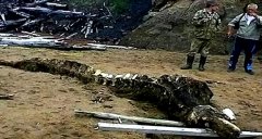 营口坠龙事件之谜，营口坠龙真实照片