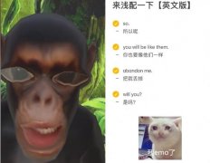 so you will be like abandon me 什么梗？出自零件英语的梗