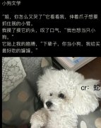 小狗文学啥意思？小狗文学文案
