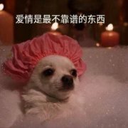 女生说科幻片是什么意思？网络用语