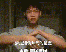 梦之泪伤帅气的脸庞什么歌？歌词