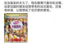 什么是巴士底狱文学？巴士底狱文学是凡尔赛文学的反义词