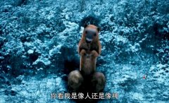 民间传说黄鼠狼讨封怎么回答？你看我像人还是像神标准答案