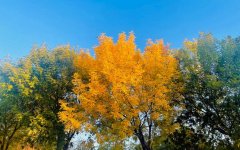 精神内耗怎么解决？精神内耗严重的人该如何条理