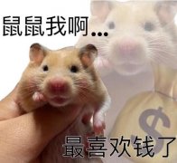 鼠鼠我啊是什么意思梗？鼠鼠我呀可是要生气了表情包