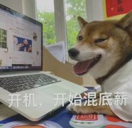 打工人躺平什么意思？表情包