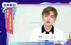 魏哲鸣为什么离的婚？魏哲鸣前妻王岚这么说