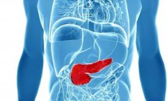 螃蟹吃几只最为宜？吃几只属于过量