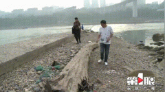 阴沉木是什么木头？阴沉木是怎样形成的