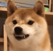 你小子最好今晚两只眼睛轮流站岗什么意思？