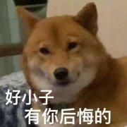 你小子最好有事什么意思？你小子表情包