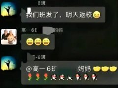 向日葵的花语什么梗？什么意思？