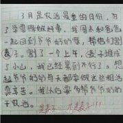 麦子是什么意思网络用语