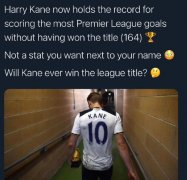 哈里凯恩没有冠军吗？