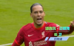 范戴克为什么不参加世界杯？