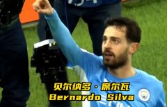 贝尔纳多·席尔瓦身价多少？葡萄牙国家队队内身价榜上排第2