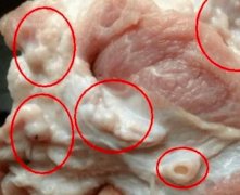 淋巴肉吃了会怎么样？淋巴肉对身体的危害解读