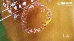 比利时黄金一代球员有哪些？比利时黄金一代世界杯成绩